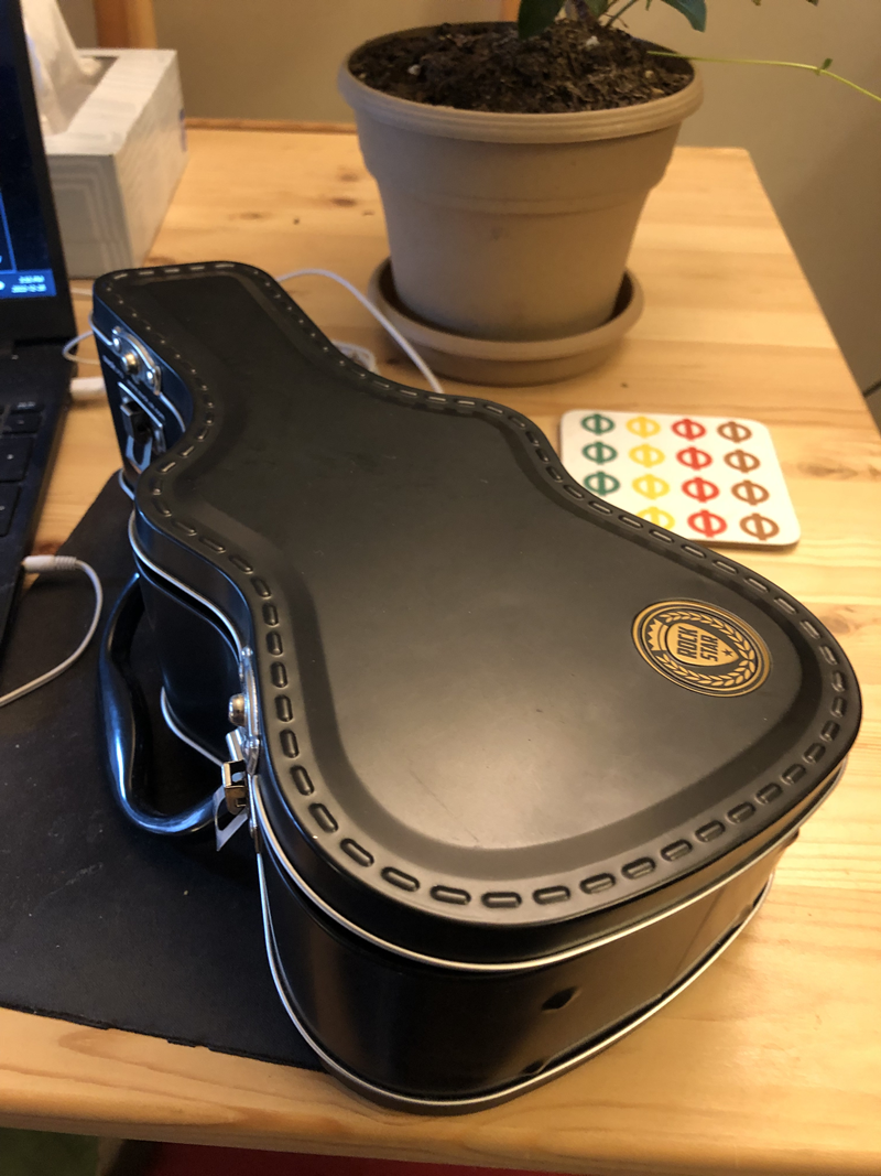 Guitar case lunch box 1